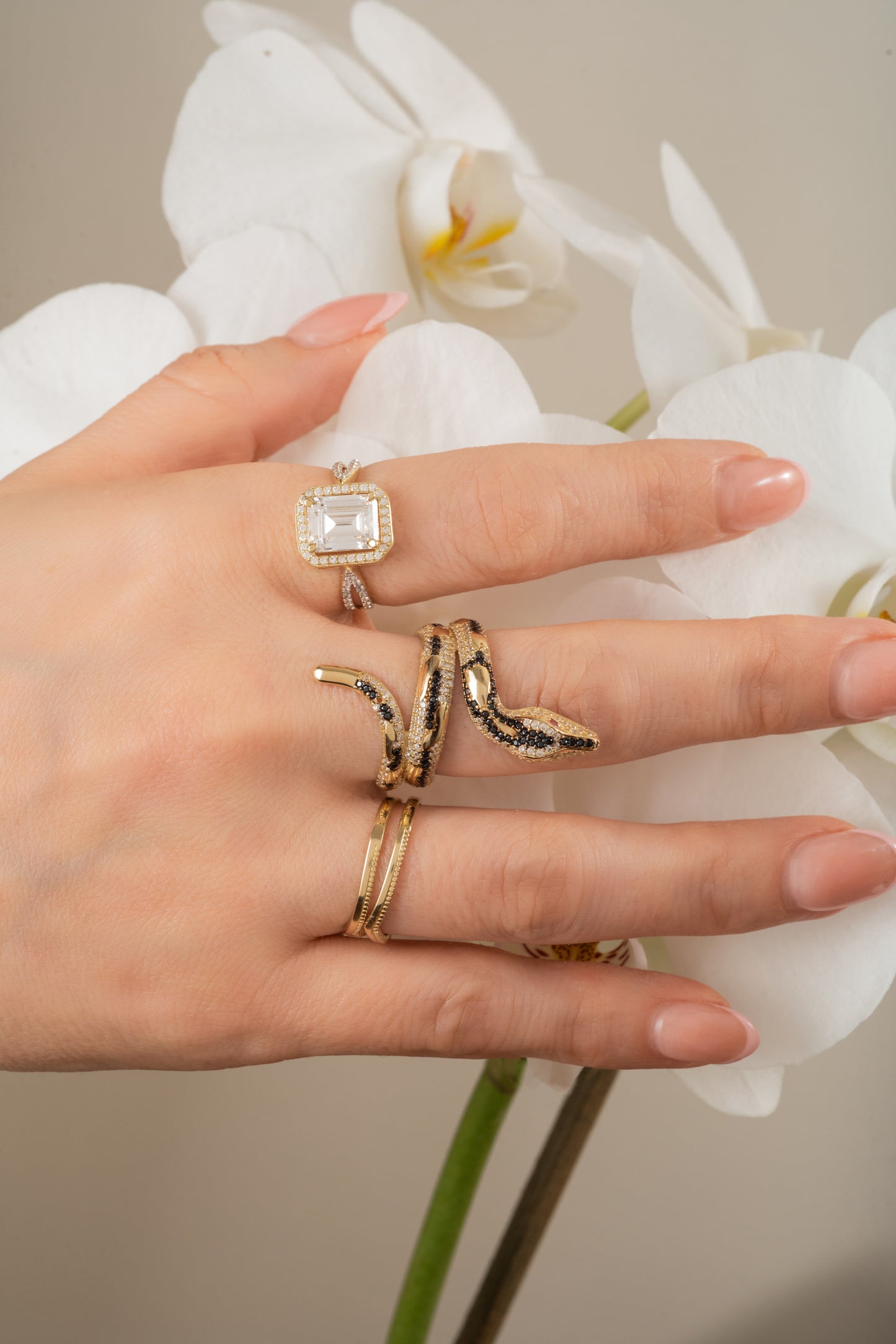 Anillo de oso solido en 10 kilates con un estilo de pico de corona