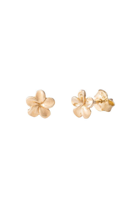 Arete de oro solido en 10 kilatas con forma de flor abierta.png