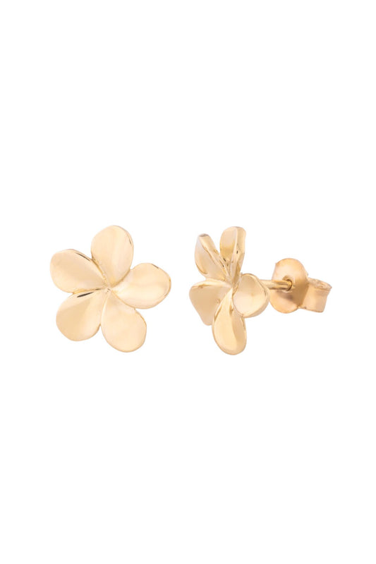 Arete de oro sólido en 10 kilates con forma de flor de cinco pétalos lisos..png
