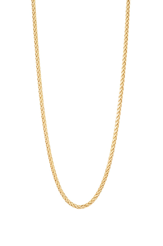 Cadena de oro sólido en 10 kilates con tejido de espina gruesa larga..png